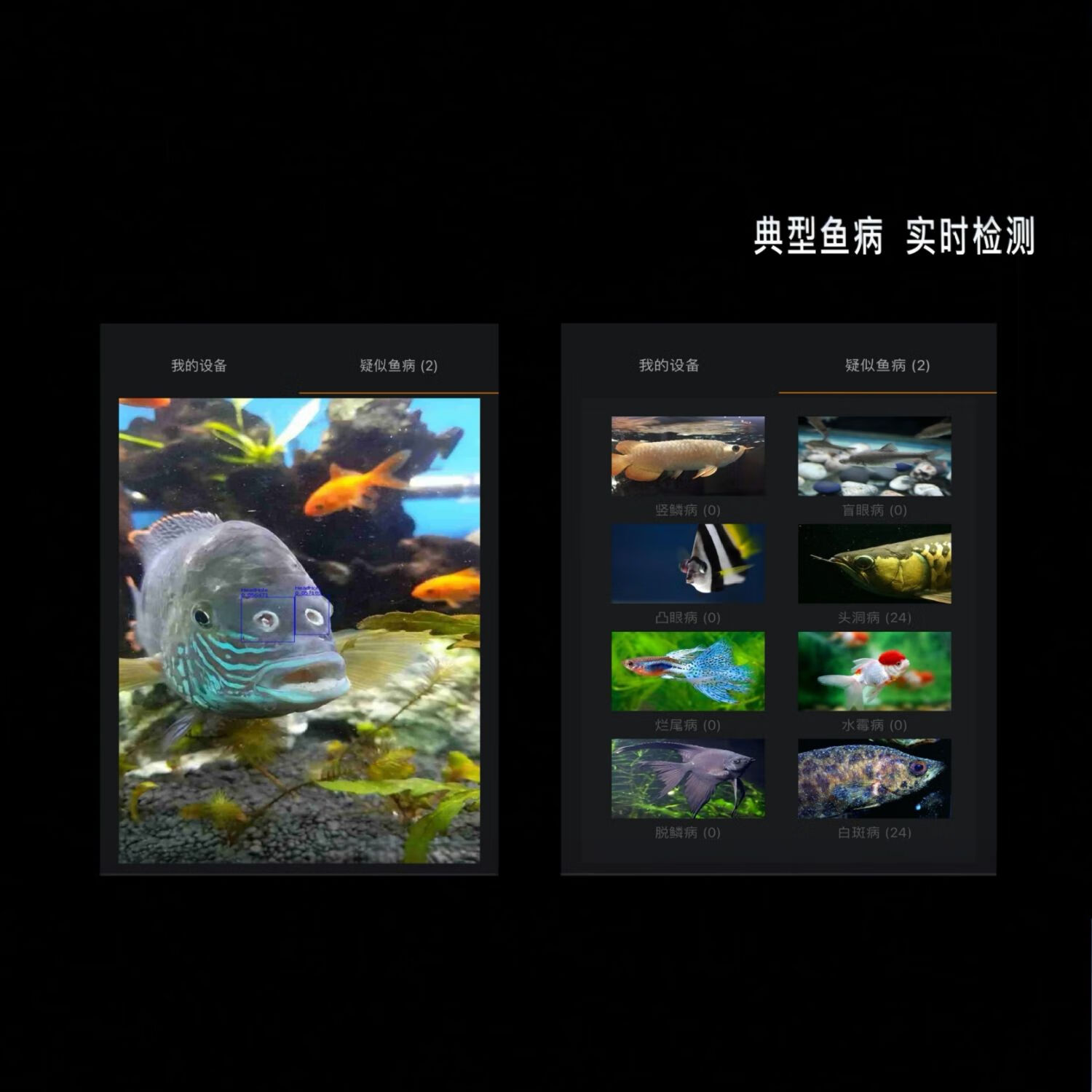 SpaceVision W 鱼缸相机鱼缸配件 水下直播 4K高清影像  鱼缸监控 基础版（适用缸壁厚度不大于8mm，不加盖）