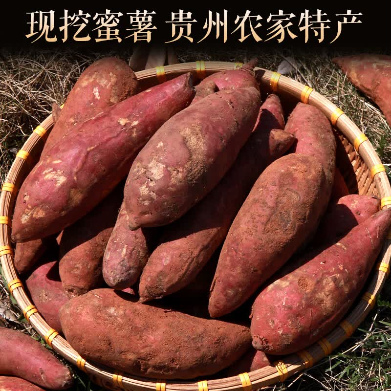 黔婆婆红薯新鲜地瓜农家沙地红薯香甜软糯番薯中果 新鲜红薯   带箱5斤