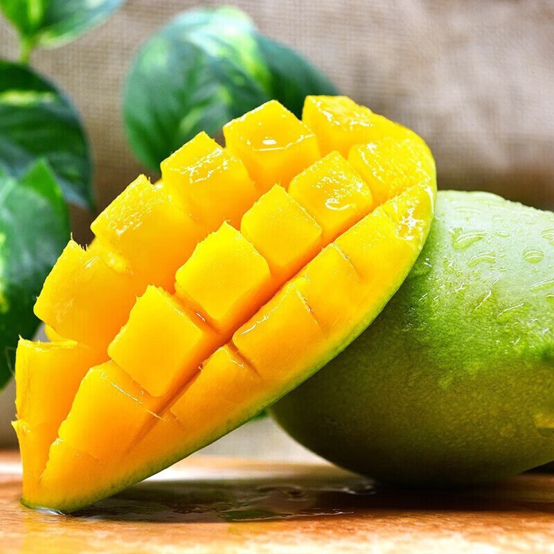 ��۷������ʴ���â9��װâ���������â��Ƥ����â�ȴ�ˮ��������� 9��װ ����500g+