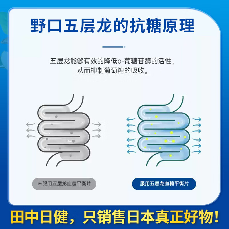 野口医学研究所日本进口五层龙平稳降糖降血糖高血糖平衡片保健品120粒/瓶