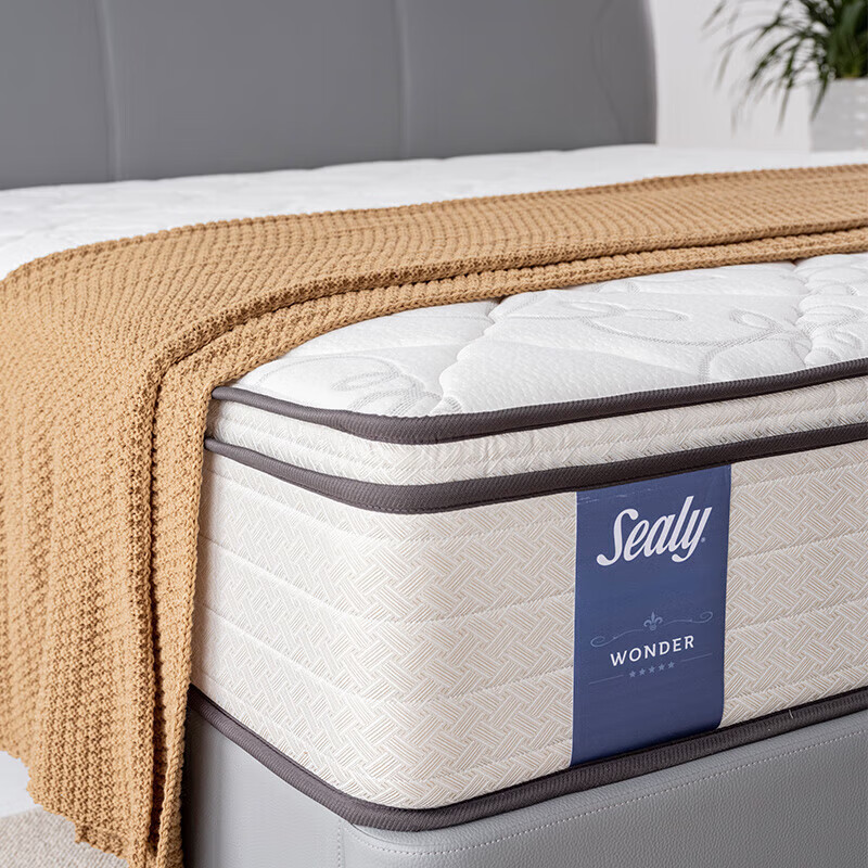 2025年床垫十大品牌排行榜揭晓：这10款护脊强，睡眠超舒适-图片6