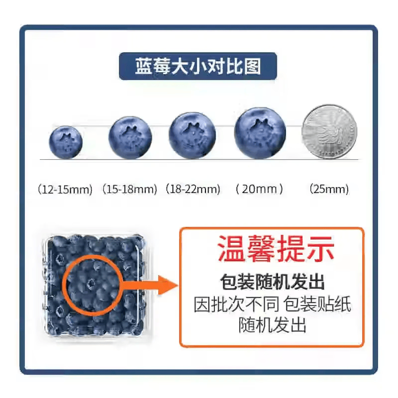 蓝莓食用方法