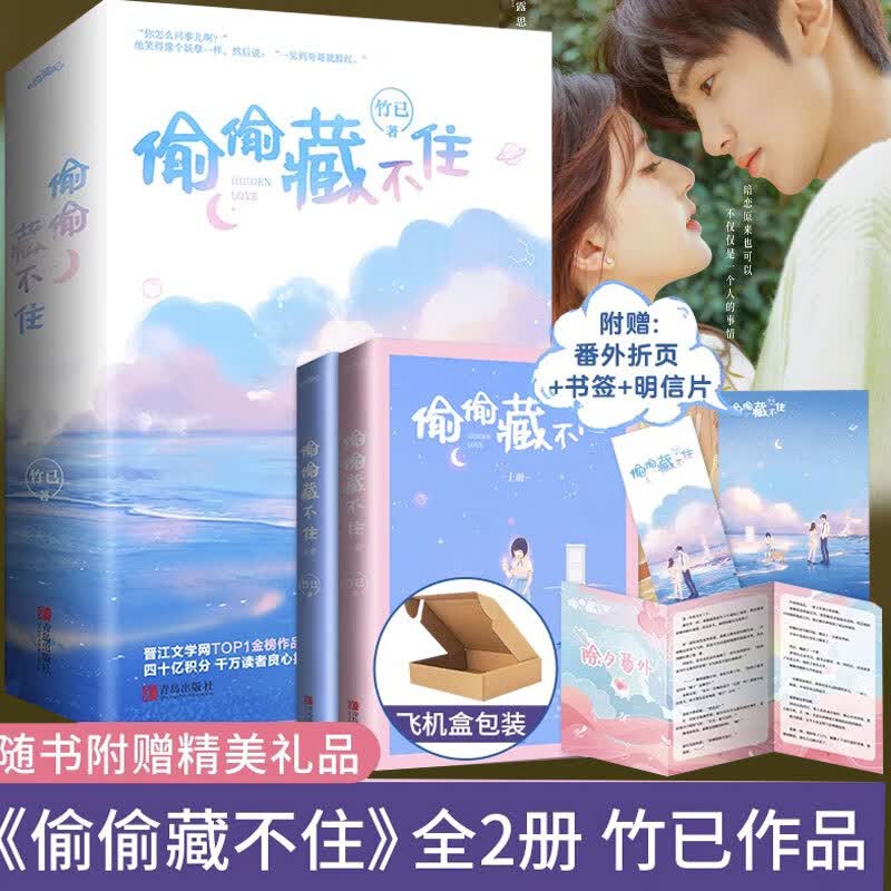 偷偷藏不住小说实体书  赵露思、陈哲远主演 影视原著全套2册竹已上下册难哄奶油味暗恋青春偷偷喜欢你文学校园书籍正版 偷偷藏不住小说
