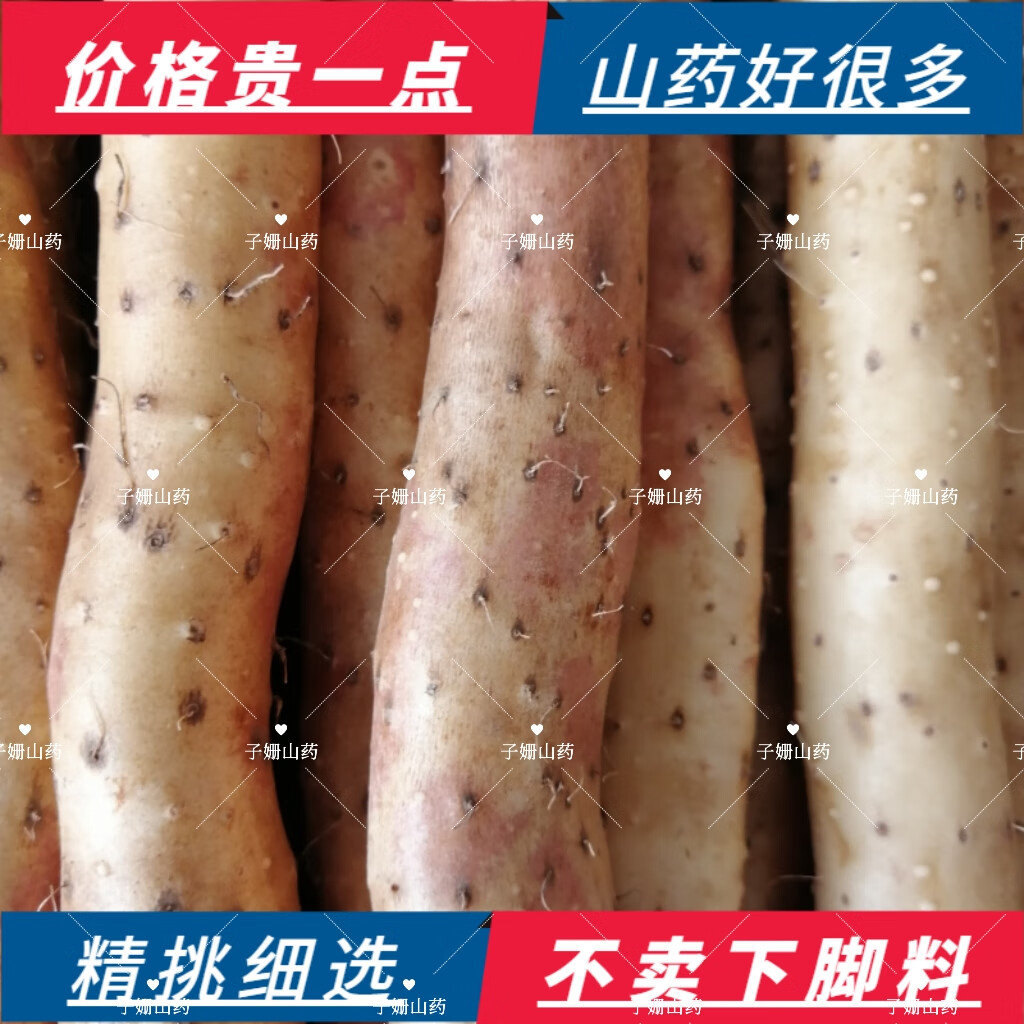 蠡县正宗小白嘴山药铁棍山药铁杆怀山药粉糯水洗无土山药宝宝辅食 水洗无土小白嘴山药 2500g