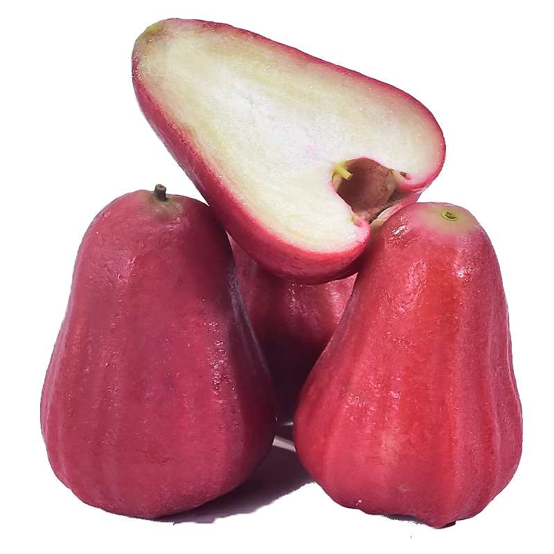 ���ڲ�����ԣũ�� ���Ϻڽ������ˮ��������ֱ��-�ͻ����š�������������Ʒ ����2���й���12-16���� 37.8Ԫ