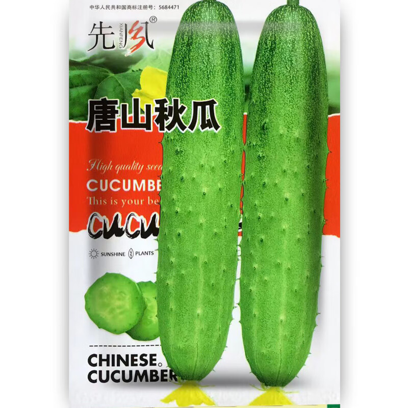種菜記旱黃瓜種子唐山秋瓜露天老黃瓜陽臺(tái)盆栽園藝小菜園中早熟春秋 唐山秋瓜種子約30粒