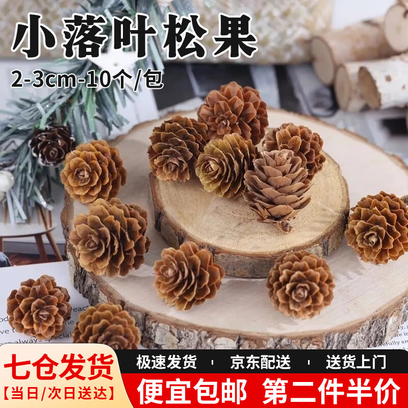 星恒梦松花落叶松果藤圈装饰松塔白松果圣诞节装饰松果迷你落叶松果