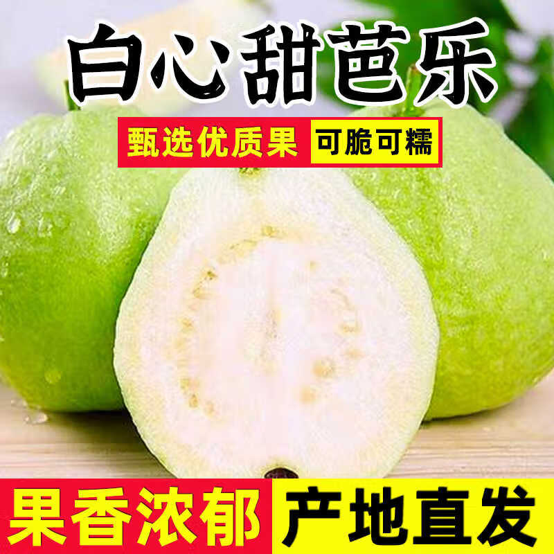 颜小荭芭乐双拼软糯奶油芭乐脆口红白心双拼芭乐组合新鲜水果当季番石榴 2.8-3斤白心奶油芭乐