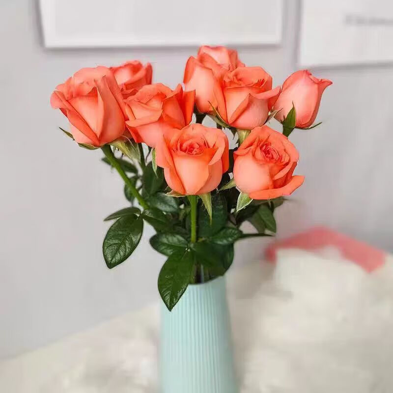 ��õ�廨������ͬ���ʻ���������ֱ���������˽��������л�����ƿ ��õ�壨8+2֦����+��ƿ�������ۺ�