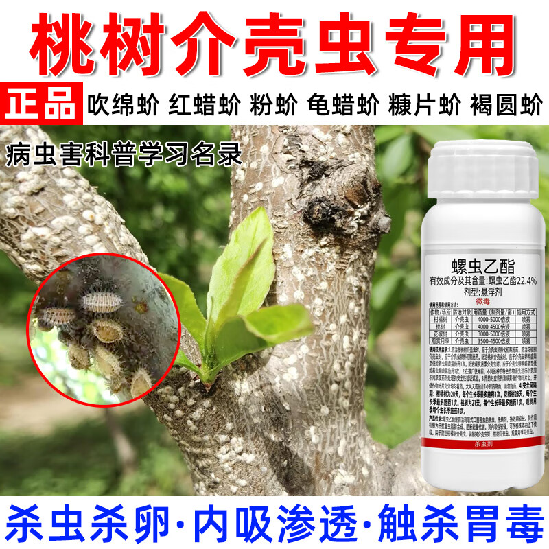 桃树杀虫剂桃介壳虫专用药螺虫乙酯蚜虫蓟马白粉虱跳甲桃树打虫药 100