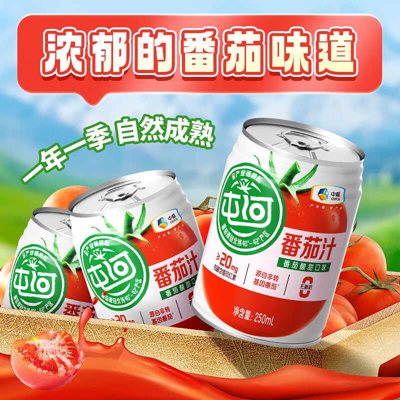 屯河100%番茄汁纯果蔬汁不添加白砂糖西红柿汁代餐饮料轻食营养 250mL*6罐
