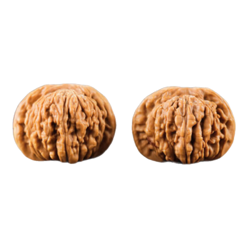 ���ڲ�������ԵС����Ȼ����������ǰ�ʨ��ͷ�ղؼ��Ƽ�����ƻ��԰����¥��Ʒ�ְѼ� ���ղؼ����Ƽ�ʨ��ͷ40mm 164Ԫ