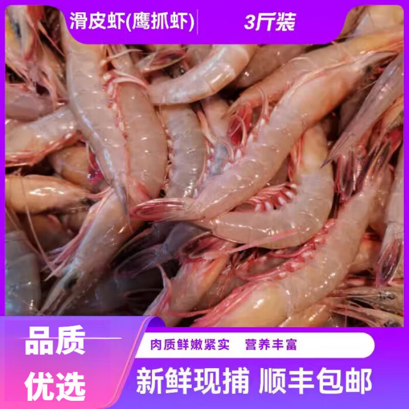 浙江東?，F(xiàn)捕新鮮海鮮海蝦滑皮蝦硬殼蝦鷹爪蝦劍蝦中小號 3斤裝 1500g(凈重)