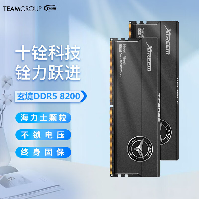 十铨科技（Team）内存DDR5海力士颗粒台式机超频马甲内存条 XTREEM玄境DDR5 8200暗夜黑 48GB 2条套条 (24G×2)M-die