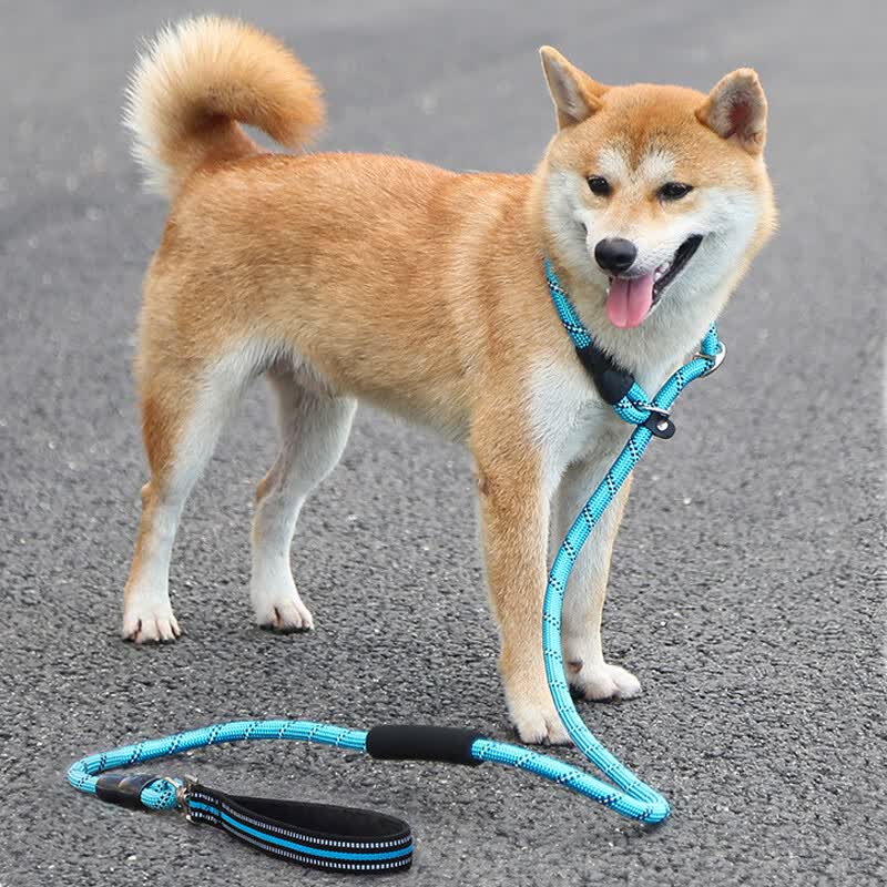 斯派科狗狗牵引绳训犬p链防爆冲防打结遛狗绳p绳中大型犬一体式狗绳金毛 旋转把手1.8米反光双握把P链蓝色 M（绳粗10mm,建议体重10-40斤）