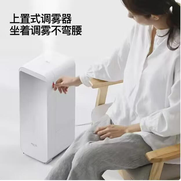 德尔玛（Deerma）德尔玛办公室空调增湿黑白随机DEM-F450加湿器 家用静音卧室迷你 如图款德尔玛加湿器