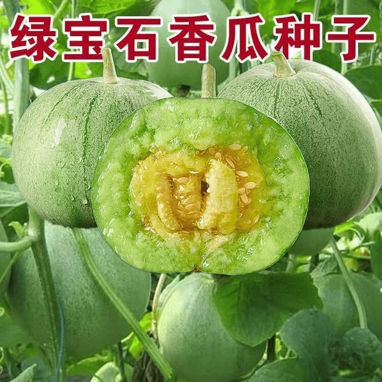 商品图片 1