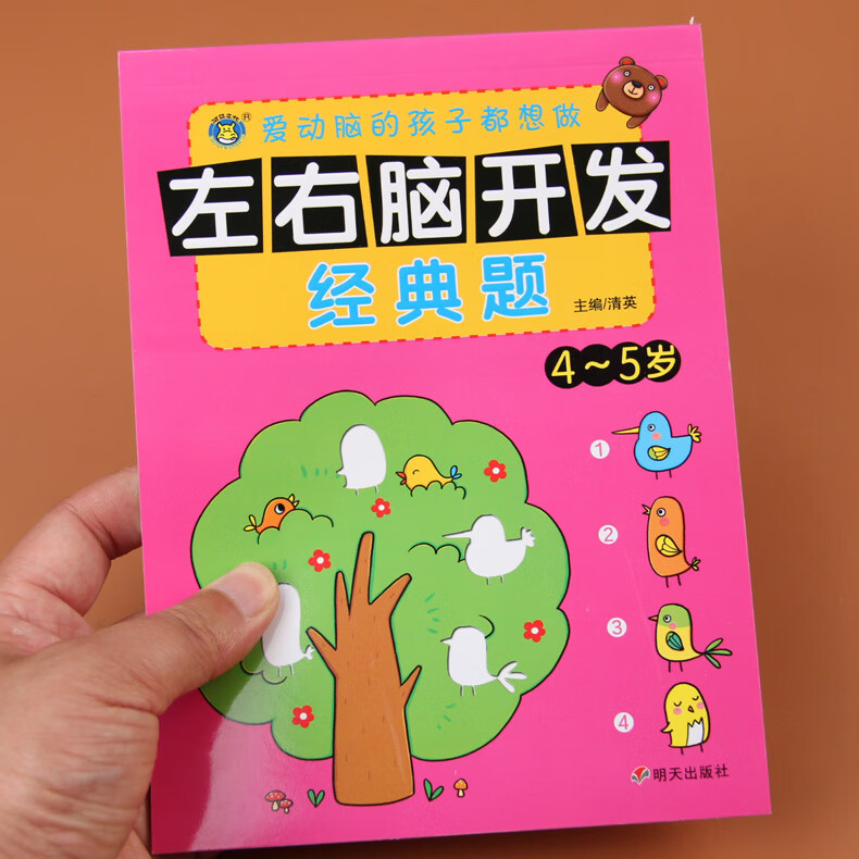 河马文化左右脑开发经典题4-5岁幼儿益智力潜能开发全脑思维训练左右脑益智力开发书学龄前儿童逻辑思维训练