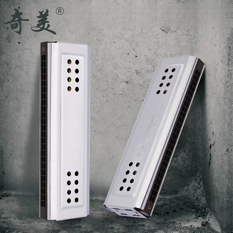 奇美雙面口琴24孔復音C調G調學(xué)生用教學(xué)初學(xué)兒童入門(mén)自學(xué)復音口琴 CG調雙面口琴+吹奏法+擦琴布