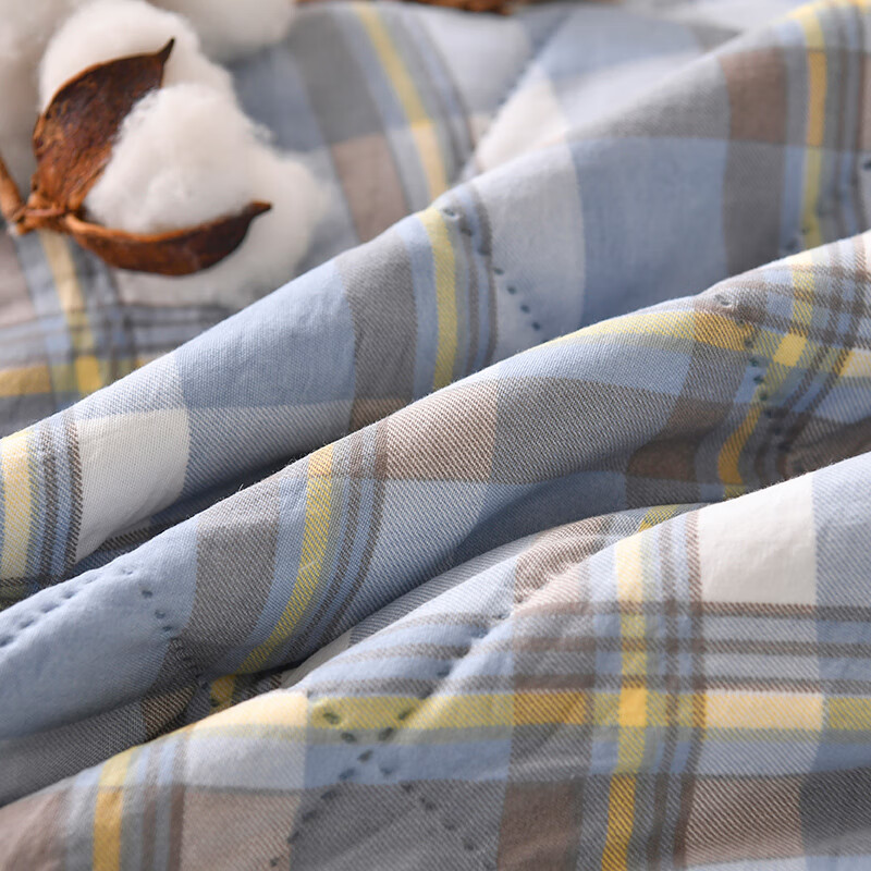 多兰诗(Duolanshi)夏凉被 可机洗小清新空调被宿舍单双人夏天薄被子 丁香格蓝 200*230cm