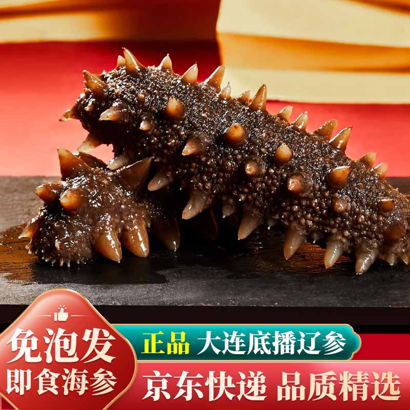 鲜拔头筹海参 即食海参海鲜正宗大连辽参刺参500g一斤开袋即食 即食辽参 一斤35-45头