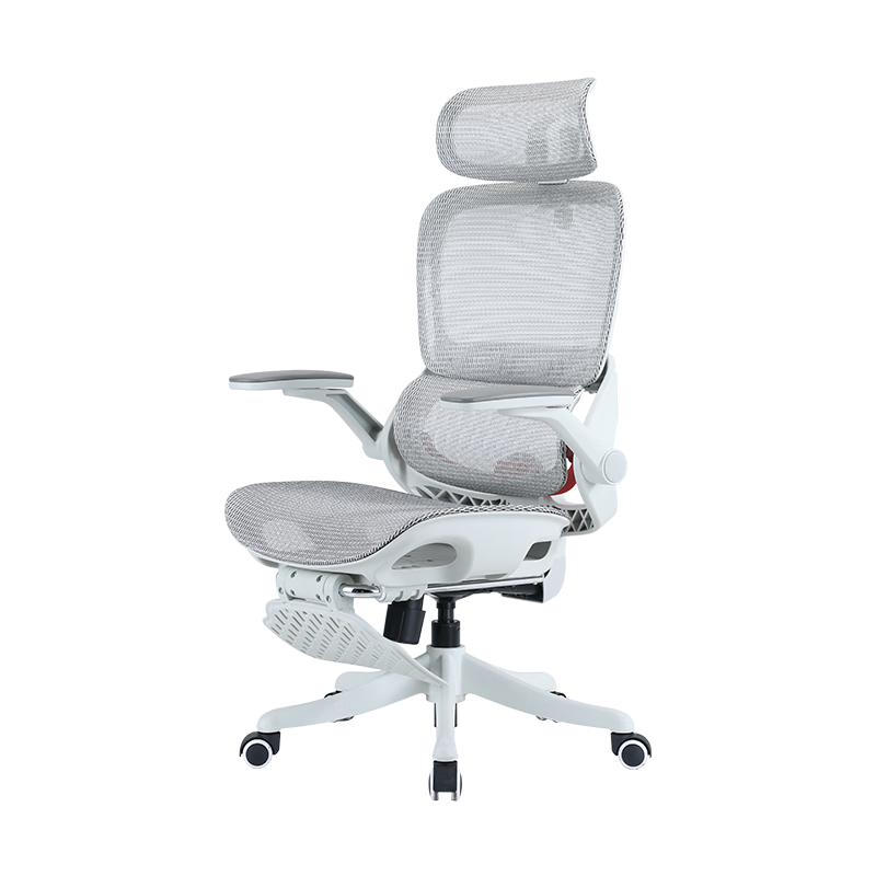 ���ڲ��������B100Pro ���幤ѧ�ΰ칫�ε��������˹���ѧ���ξ����羺��ѧϰ�� 589.04Ԫ(������)