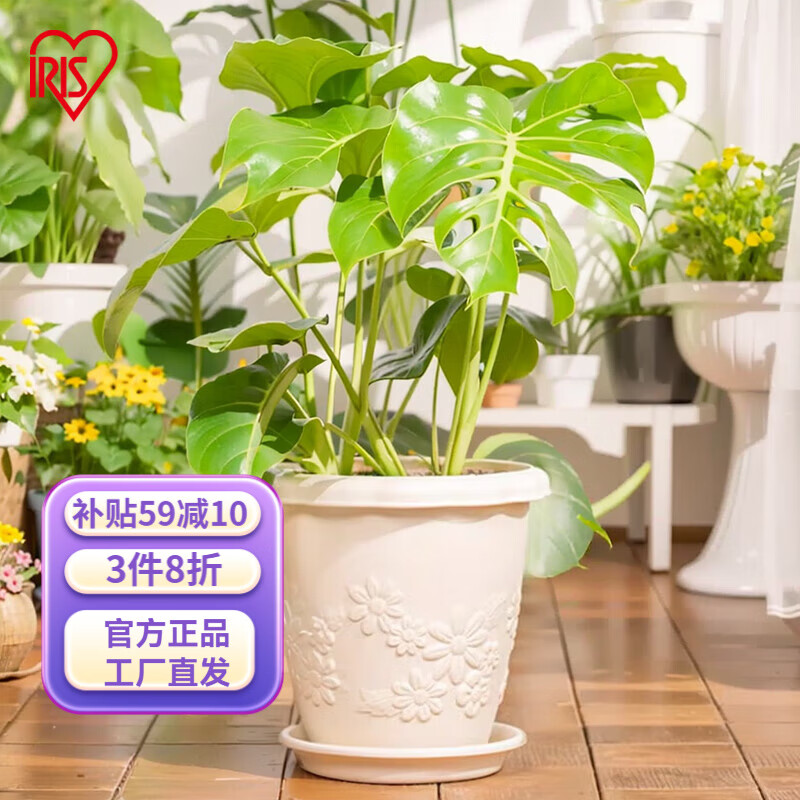 ����˼��IRIS������˼���մɳ�����������̨���ϼӺ���֬Բ�ζ��⻨�谮��˿ 6��ǳ��ɫ��1.7L ֱ��18cm ����+��