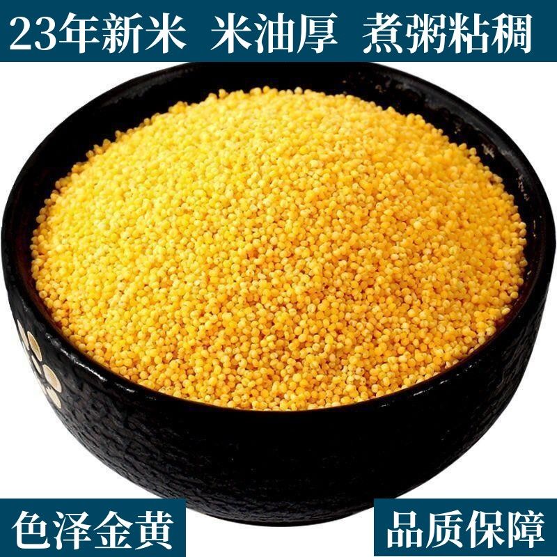 EOAGX50斤整包批發(fā)價(jià)黃小米新米小黃米農(nóng)家粗糧雜糧月子小米粥營(yíng)養(yǎng)煮粥 精品小黃米--50斤批發(fā)(米油多)