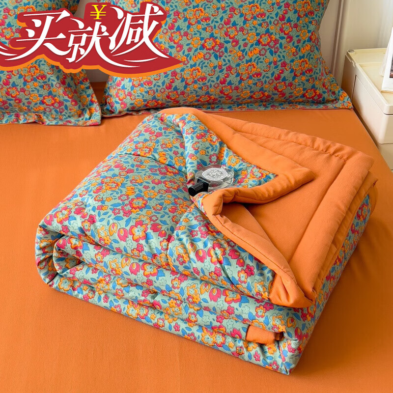 霖衍空调被夏季 A类双层纱被子夏季夏被薄款可机水洗夏天空调被单人夏 艾维【整张纤维填充 机洗不跑棉 110x150cm【裸睡级面料 可机洗