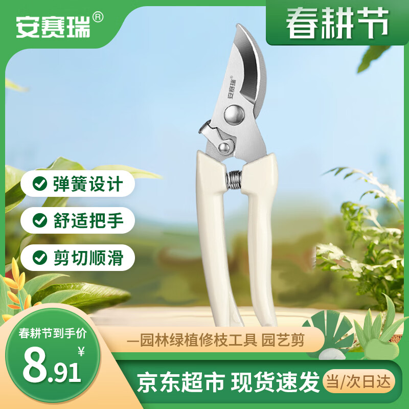 安赛瑞 修枝剪刀果树剪园艺剪 盆栽剪花卉工具园林绿植剪刀花艺 5J00326