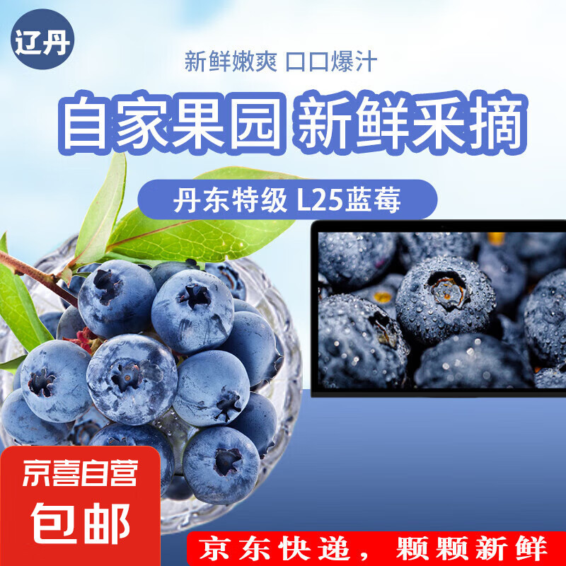 蓝莓丹东特级L25新鲜蓝莓现摘现发 丹东蓝莓净重450g单果15mm+