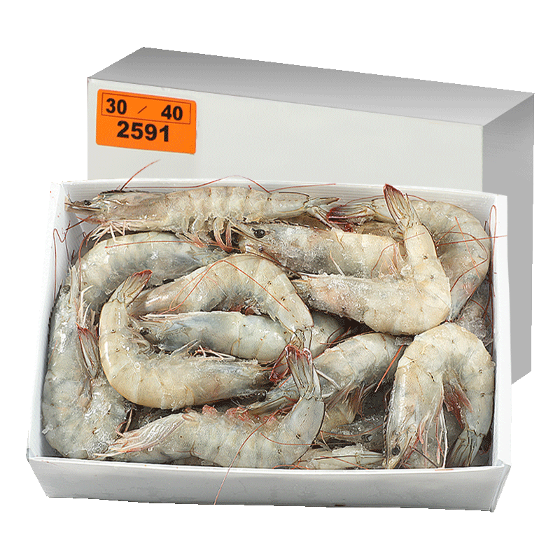  ൺϺʻ䶳ΧϺ 16-18cm ֻ شϺ 3.3ﾻ 69.9Ԫ(ȯ) 