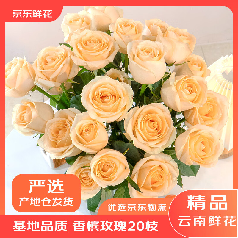 京东鲜花情人节鲜花云南昆明基地香槟玫瑰买