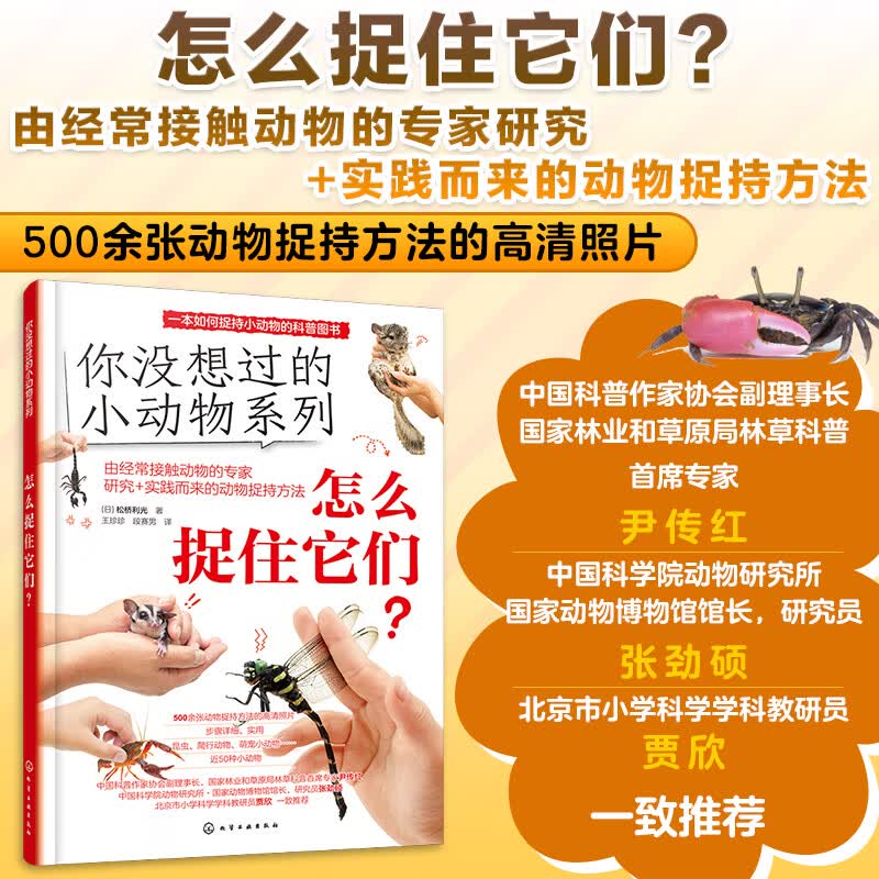 正版 全4册 你没想过的小动物系列 怎么饲养它们 去哪里寻找它们 超有趣的动物小知识 怎么捉住它们 小学生动物知识图文科普读物 课外书