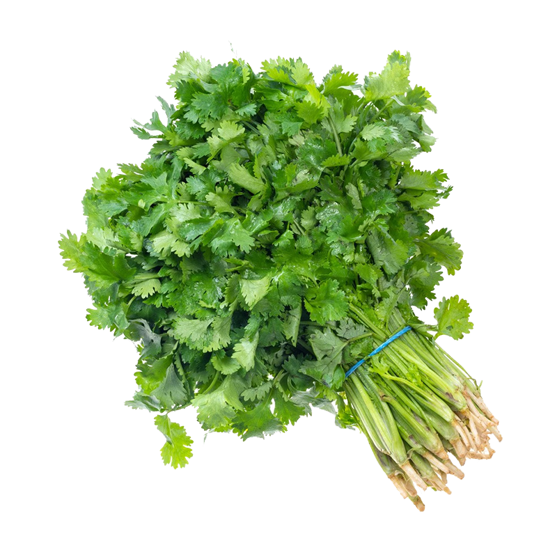 農(nóng)點(diǎn)贊四季香菜種子大全老品種小葉香菜籽種耐熱寒芫荽籽陽臺(tái)小蔬菜種子 [香味濃]3天生香菜種子40克*1袋