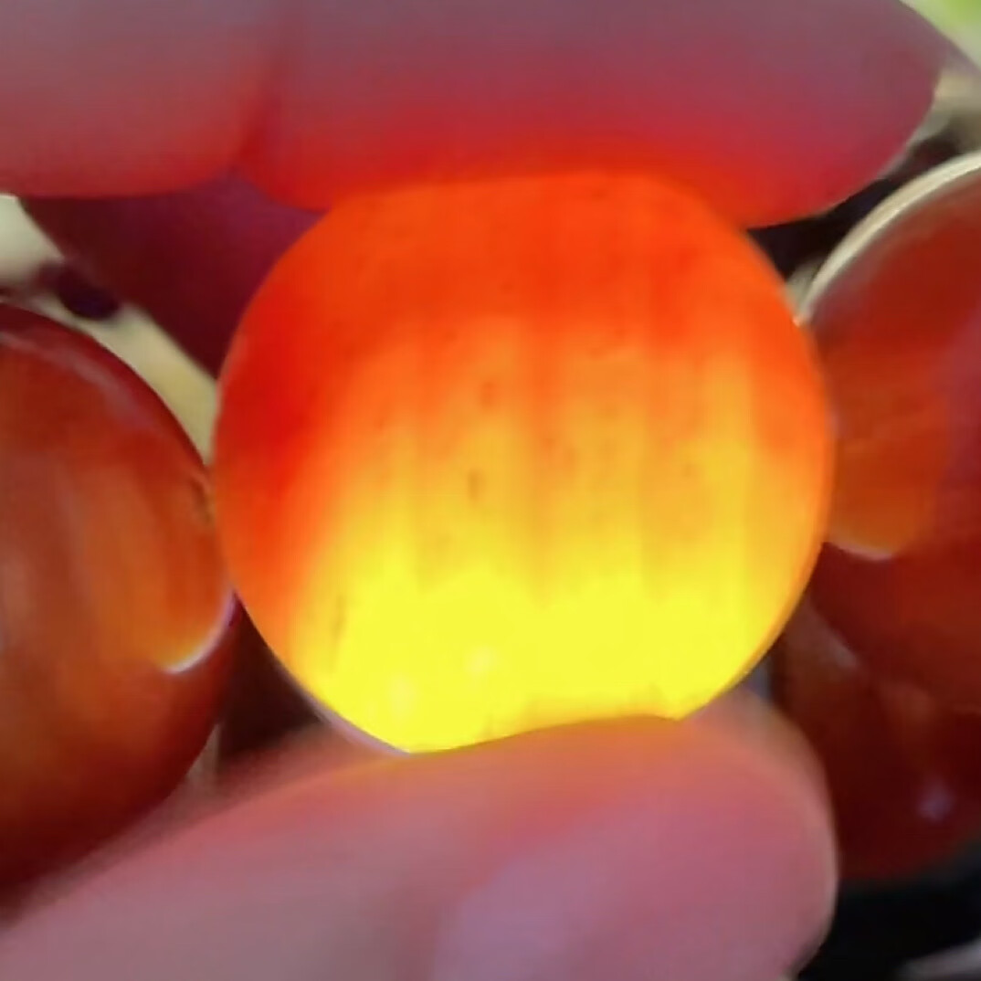 血龙木手串全透东北琥珀木原木料松明子沉化老料全透固化玉化佛珠 精品黄龙全透20mm