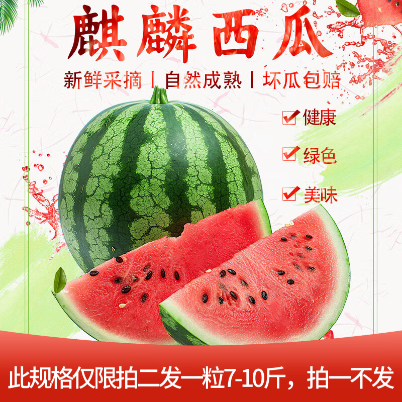 果领队正宗麒麟大西瓜当季现摘爆甜新鲜水果云南特产西瓜生鲜整箱 精选净重1.5-2斤（拍2发7-10斤）
