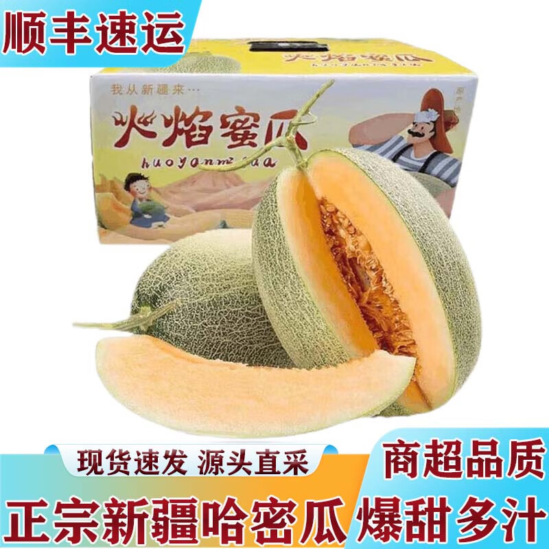 鲸咚亿农正宗新疆哈密瓜甜瓜 吐鲁番哈密瓜 新鲜水果中秋节礼盒 净重5-6斤【1个装】