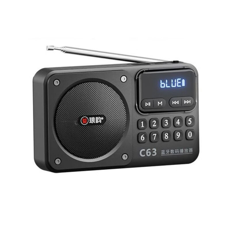 瑯韻迷你插卡音響收音機(jī) MP3數(shù)碼播放器便攜式迷你音箱外放老人多功能插卡隨身聽 灰色 標(biāo)配