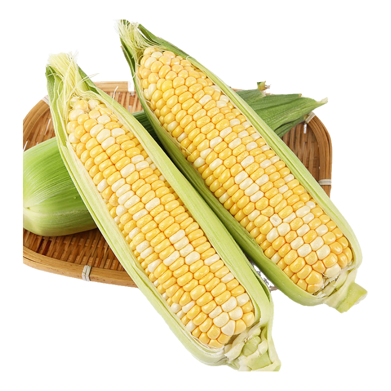 悠轶云南水果玉米 甜玉米棒子新鲜生鲜蔬菜香甜多汁应季 精选2斤 约2-3根 源头直发