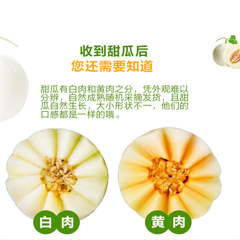 遇见悯农正宗阎良甜瓜香瓜甜瓜黄河蜜瓜黄金瓜黄金蜜生鲜新鲜水果 阎良甜瓜净重4.5斤【红白肉随机】 鲜甜蜜瓜