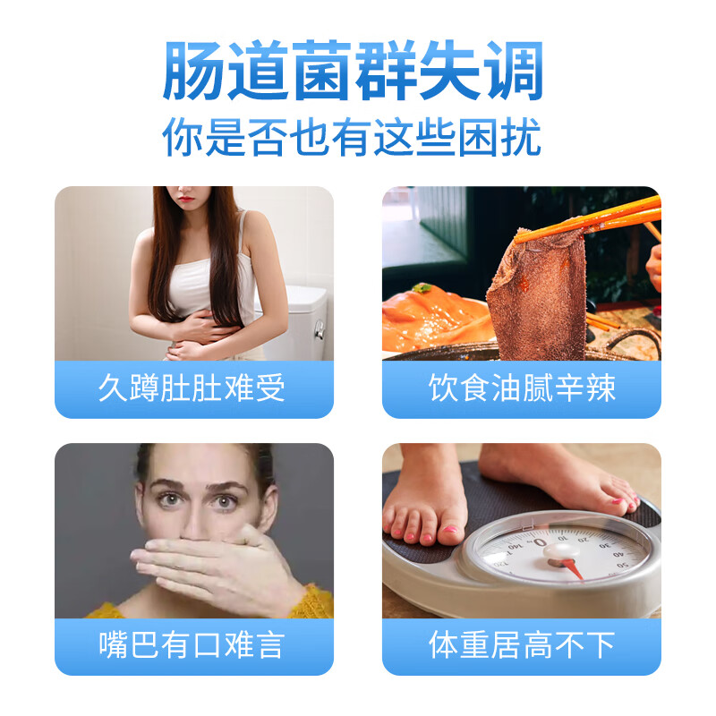 H&W HEALTH&WISDOM乳酸菌粉便秘调理肠道肠胃活性益生菌蔓越莓双歧杆菌备孕试管人群 每日乳酸菌 2g*30袋