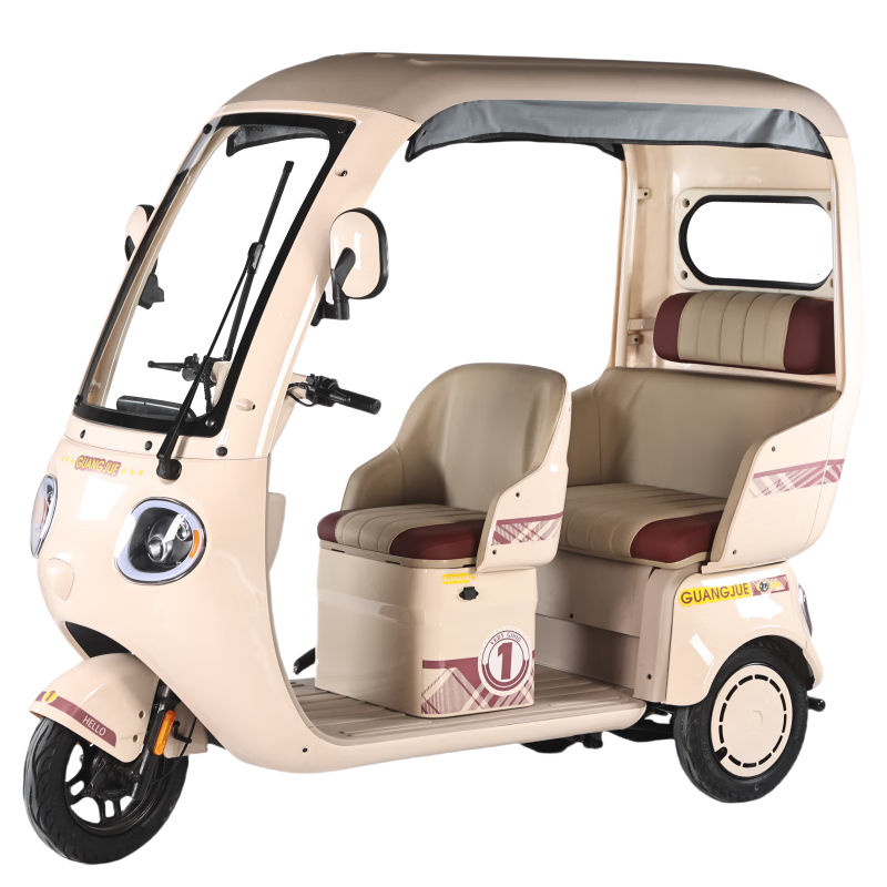 漫可接送孩子溜娃3輪電動(dòng)車(chē)三輪車(chē)款 帶棚家用老年人女士代步車(chē)電瓶車(chē) 1000W/60V23A/黑金 續(xù)航約100里