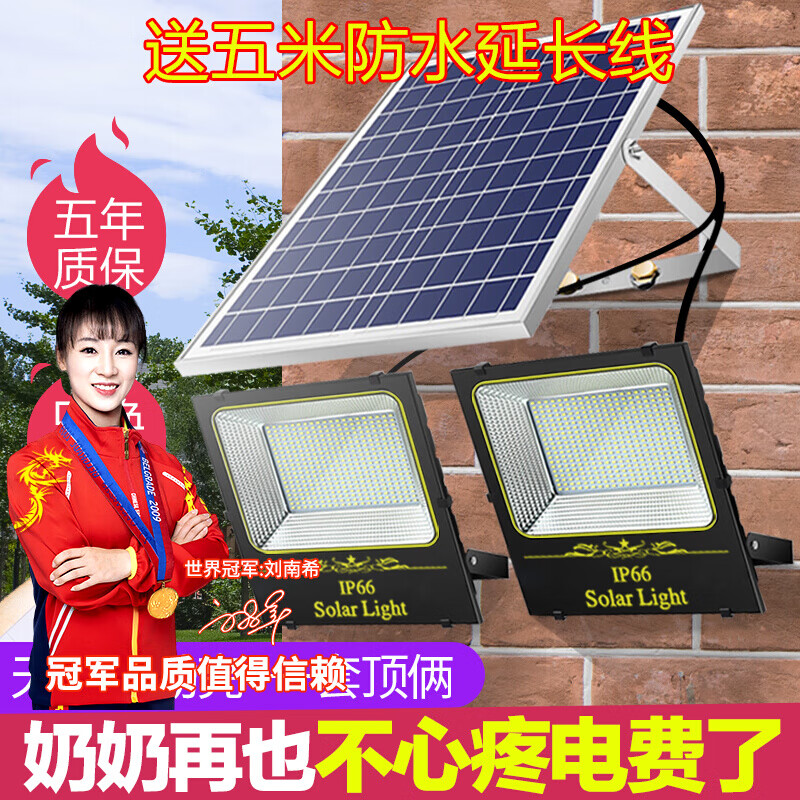 京厽德国太阳能户外灯庭院灯家用室内外照明灯天黑自动亮一拖二新农村 170W-H198超亮大灯珠充电显示+智