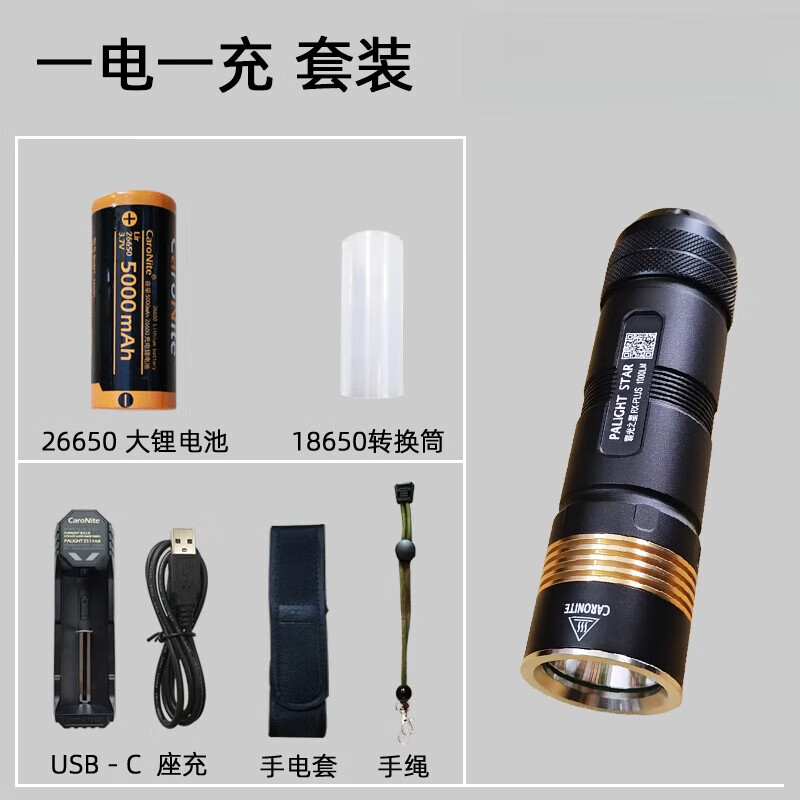霸光之星【官方直销】霸光RX强光手电筒 PALIGHT便携可充电Led迷你小直筒 RX-PLUS：一电一充