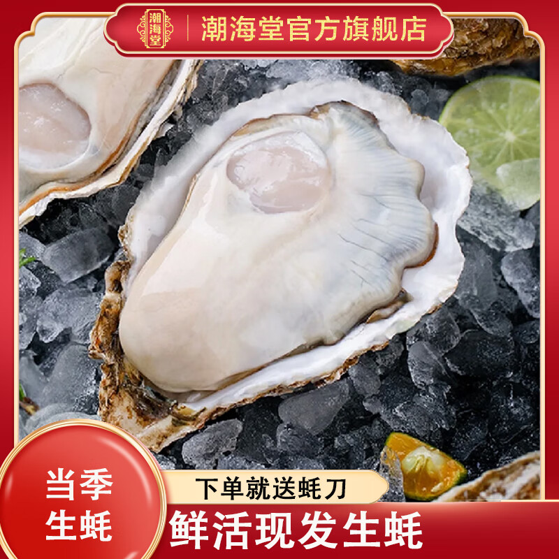 潮海堂生蚝鲜活5斤带壳海鲜水产当季肥美新鲜大牡蛎烧烤批发聚餐海鲜 XL（90g（含）-120g（不含）） 【生态生蚝】带箱5斤装