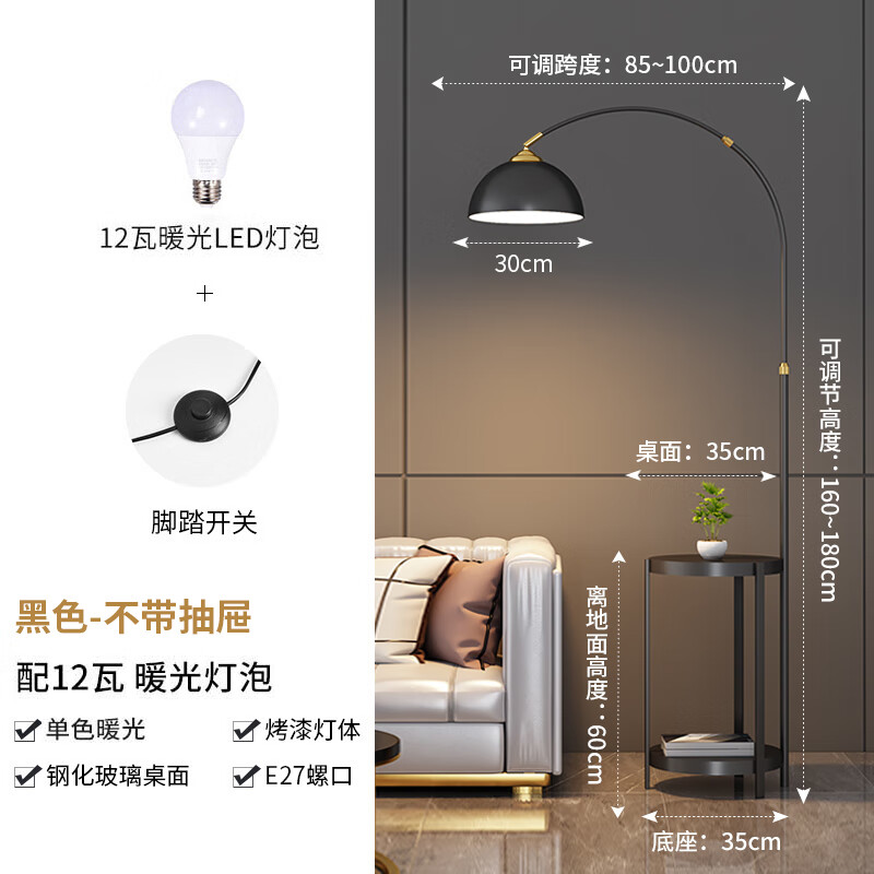 杜君釣魚(yú)燈落地?zé)艨蛷d輕奢北歐創(chuàng)意沙發(fā)燈網(wǎng)紅臥室置物架茶幾立式臺(tái)燈 黑色+12瓦暖光