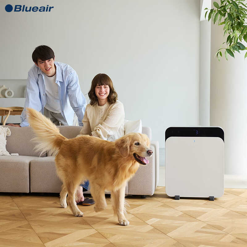 布鲁雅尔(Blueair)空气净化器除甲醛宠物吸猫毛除菌过敏原苯去烟味303+380IF升级款ClassicProCP7i家用电器国家补贴