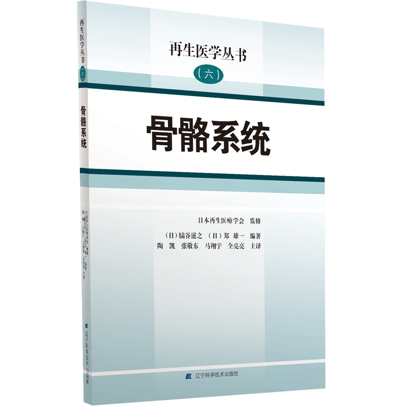 骨骼系统