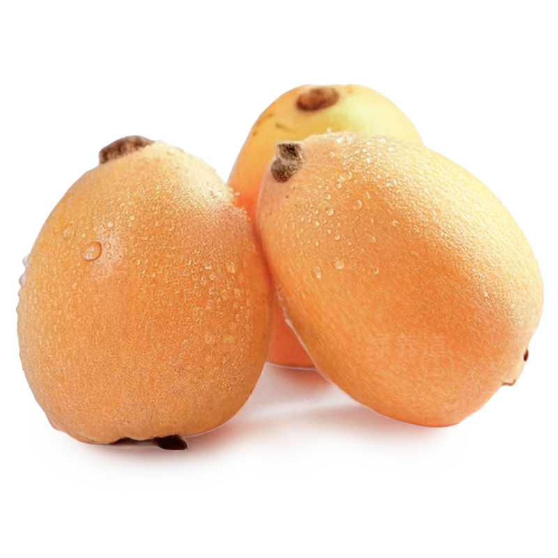 ������ ���������������˹� ����3�� ˳���� 54Ԫ